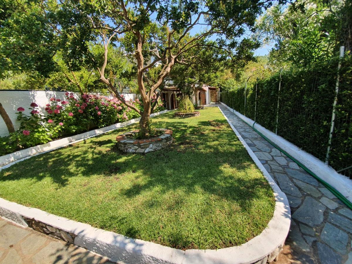 Dionisos Studios And Apts Skiathos Κουκουναριές Εξωτερικό φωτογραφία