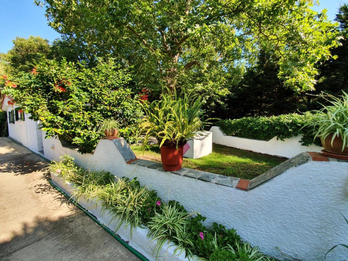 Dionisos Studios And Apts Skiathos Κουκουναριές Εξωτερικό φωτογραφία