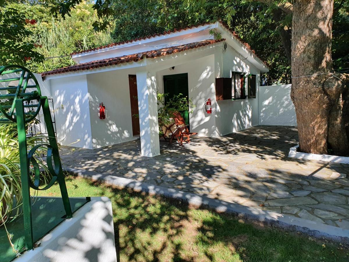 Dionisos Studios And Apts Skiathos Κουκουναριές Εξωτερικό φωτογραφία