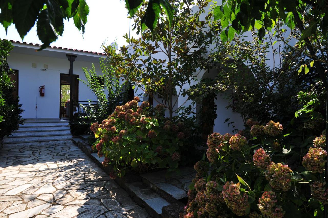 Dionisos Studios And Apts Skiathos Κουκουναριές Εξωτερικό φωτογραφία